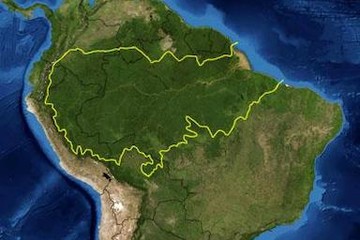 AMAZONIA COMO TEXTO, NO COMO PRETEXTO